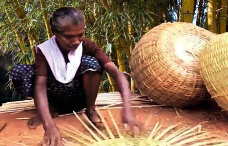 Features of Bamboo