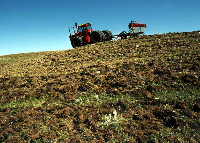 Site selection and land preparation for Bamboo Cultivation