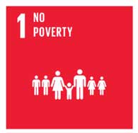 UN Sustainable Development Goal- Reduction of poverty by bamboo