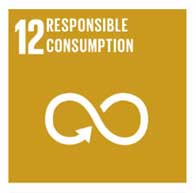 UN Sustainable Development Goal- Responsible Consumption and Production by Bamboo