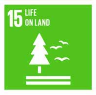 UN Sustainable Development Goal- life on land by Bamboo