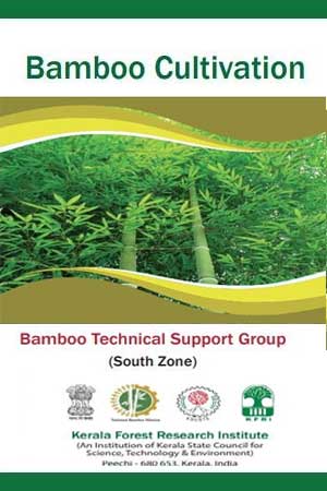 Bamboo Cultivation