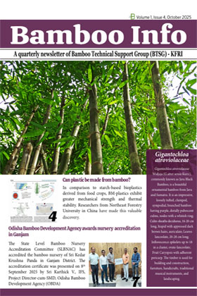 Bamboo info Newsletter - October, 2025