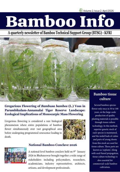 Bamboo info Newsletter - April, 2026