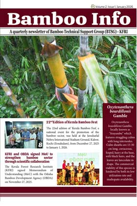 Bamboo info Newsletter - January, 2026