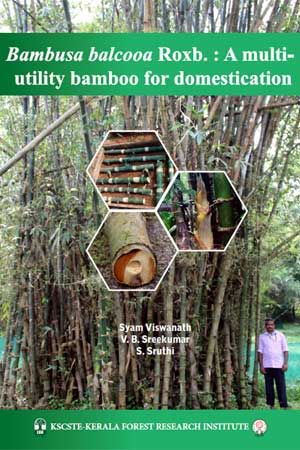 Bambusa balcooa Roxb. : A multi-utility bamboo for domestication